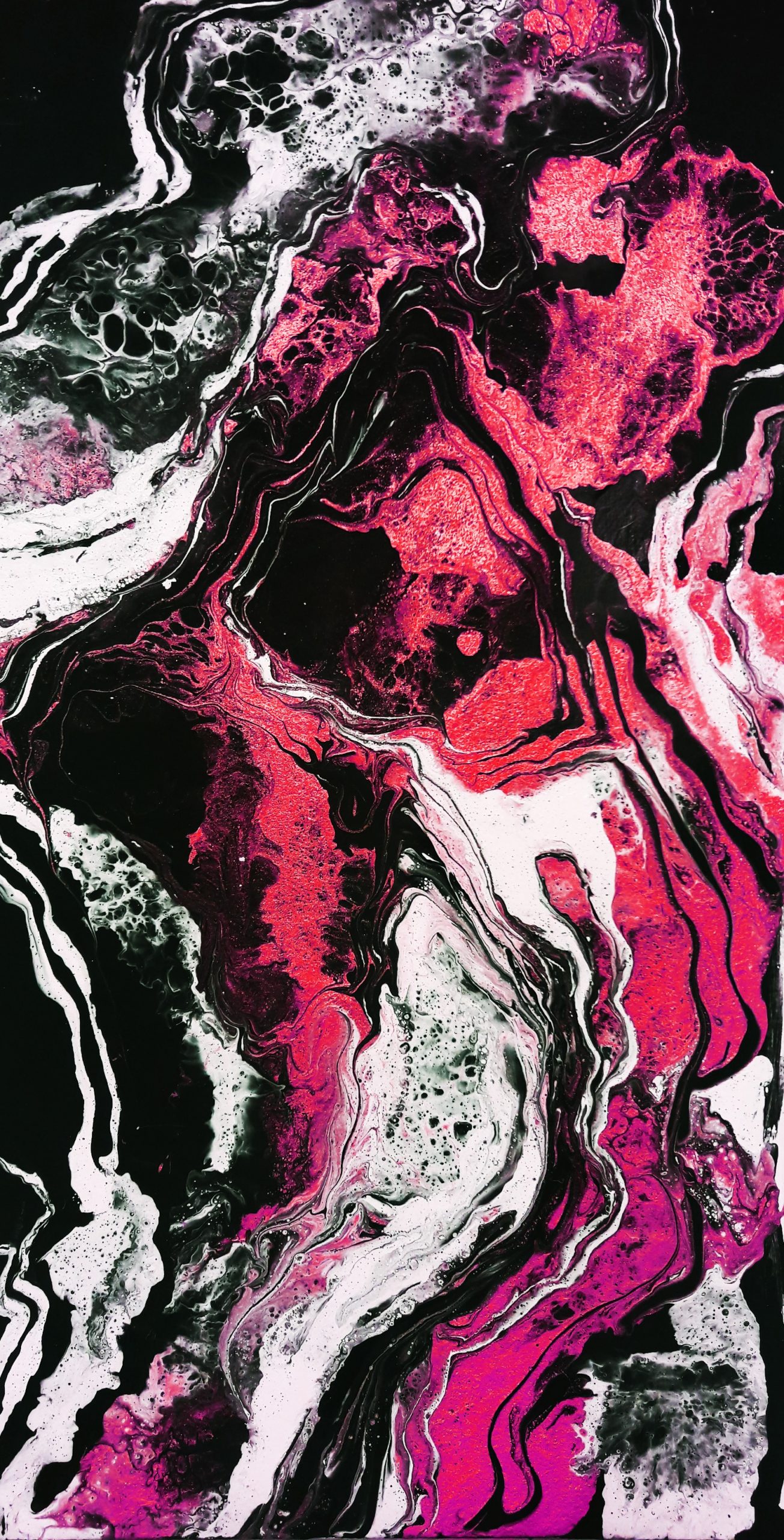 69455309_438814370112681_5162903624434581504_n